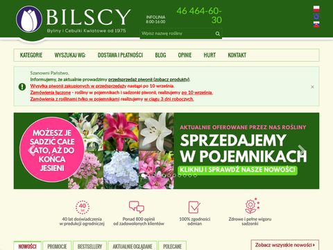 Bilscy.info gospodarstwo ogrodnicze