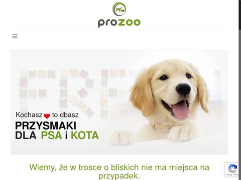 Prozoo.pl - sklep zoologiczny dla psa i kota