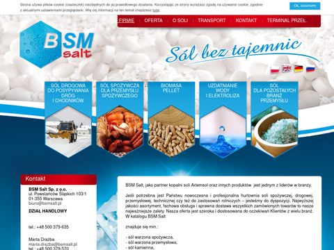 Bsmsalt.com.pl