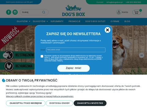 Dogsbox.pl sucha karma dla psa