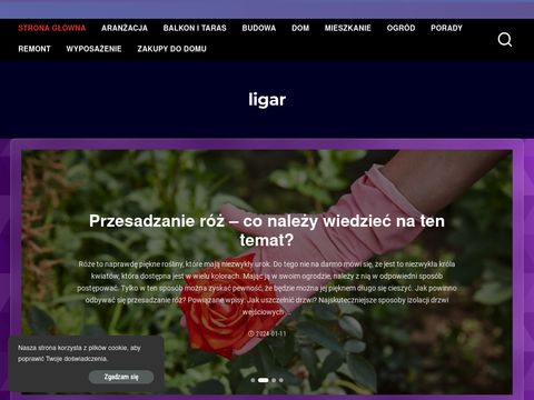 Ligar