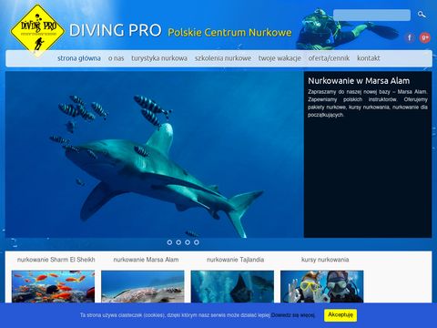 Diving Pro - nurkowanie Egipt