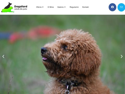 Dogsford - szkolenie psów